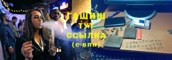 гидра Абаза